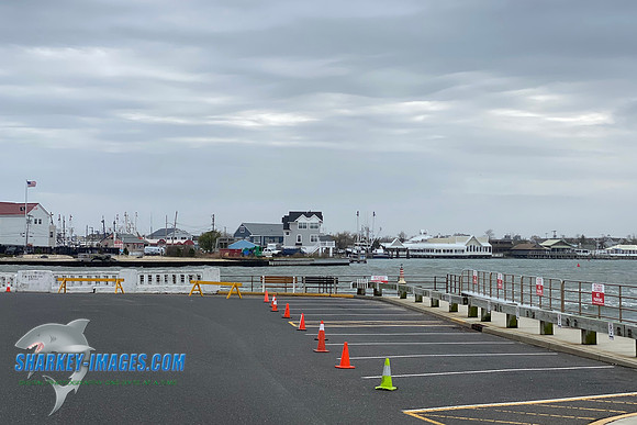 D3CF908E-D745-42F5-87A0-84DD2324A21B
