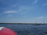 Tices Shoals