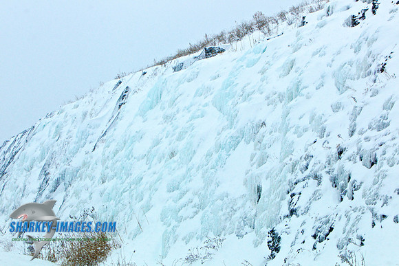 150131A 656