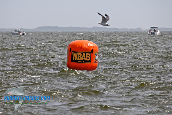 082209_A 110 - Version 2.jpg
