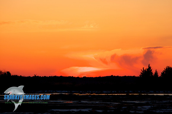 022010_ 27 - Version 2.jpg