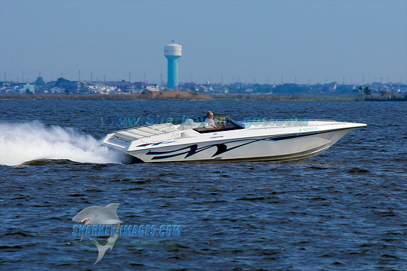 05012010_A 118 - Version 2