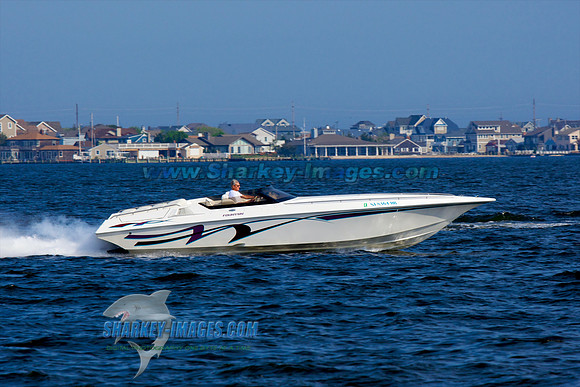 05012010_A 113 - Version 2