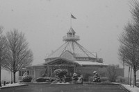 020409 009.jpg