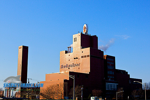 110312B 5 - Version 2