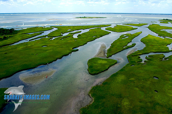 100807B 39 - Version 2