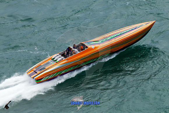 150808D 351