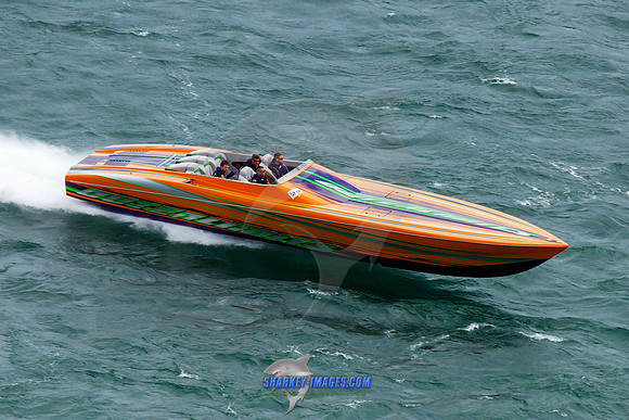 150808D 358