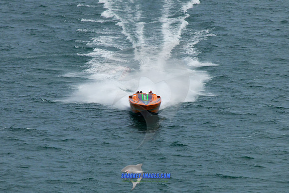 150808D 407