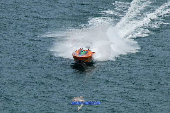 150808D 412