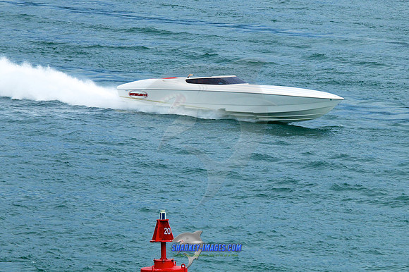 150808D 282
