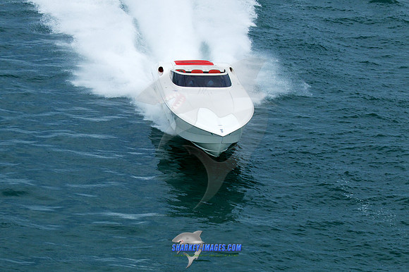 150808D 299