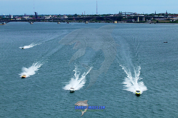 150808D 421