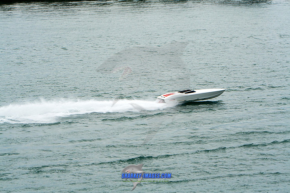 150808G 860