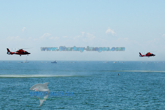 110817_2A 160 - Version 2