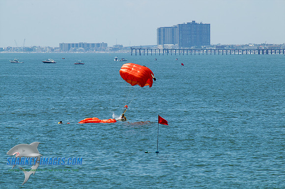 110817_2A 459 - Version 2