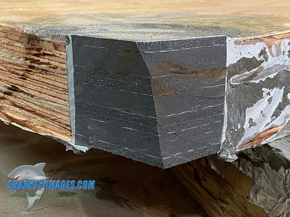 2DB9010E-4ECC-4199-88F9-D58BE738CF75