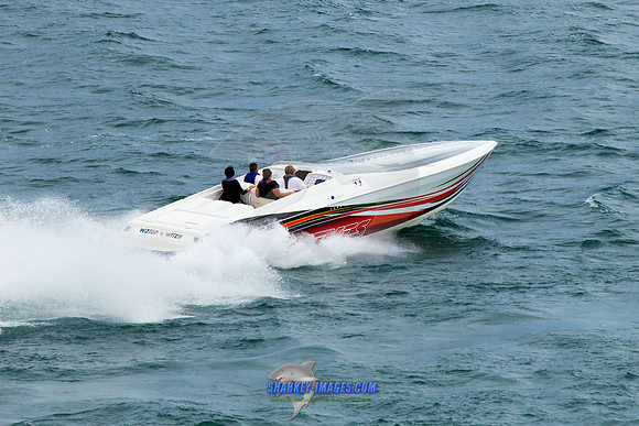 150808D 1190