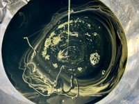 IMG_4917