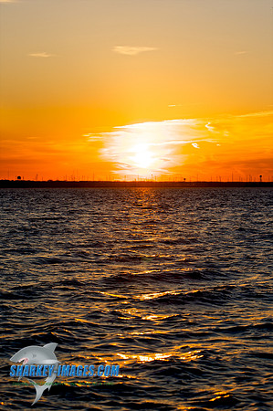 03182010 11 - Version 2