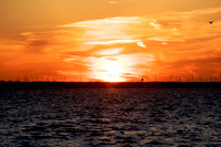 03182010 24 - Version 2