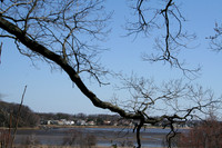 IMG_0017.JPG