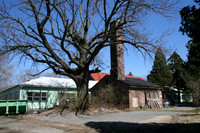 IMG_0008.JPG
