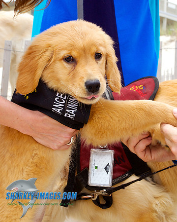150517 132