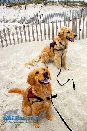 150517 162