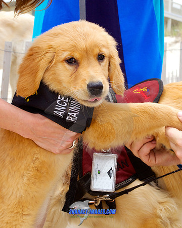 150517 132