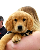 Photos w/Service Dogs