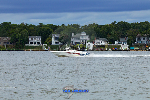 150912A 203