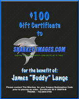 BUDDY BENEFIT 150918-B