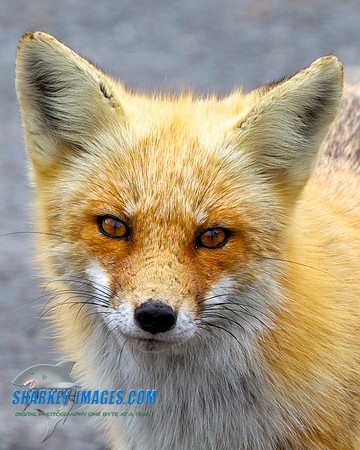 130307A 292