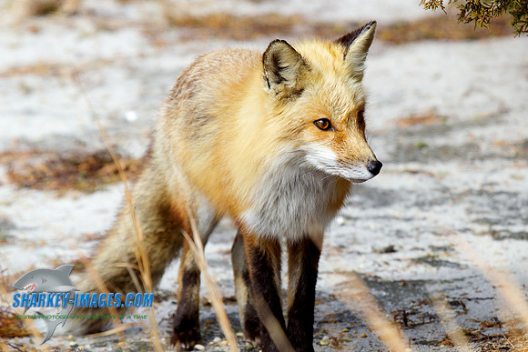 130307A 96