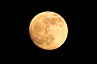 120101 115 - Version 2
