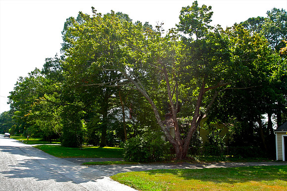 082409_  52 - Version 2.jpg