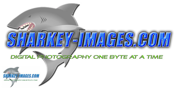 Sharkey-Images