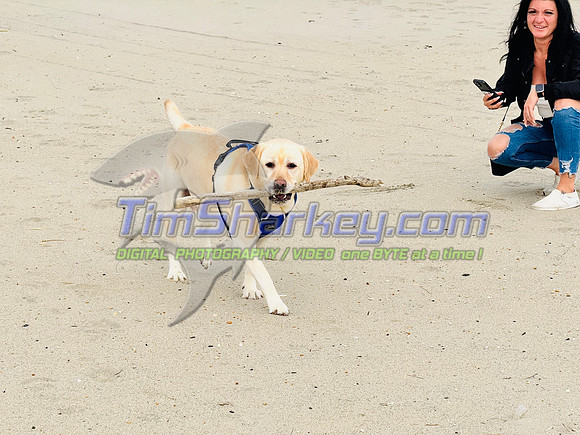 IMG_4540
