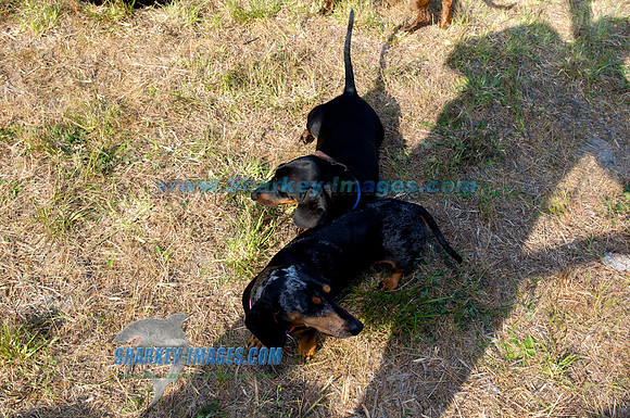 052910_B 354 - Version 2