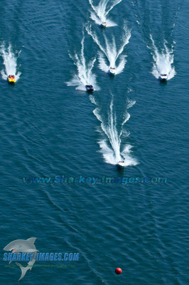 110813C 44 - Version 2