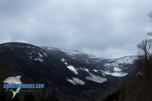 130328A 255