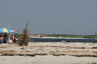 0801609 38.jpg