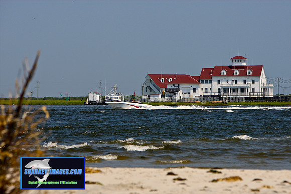 0801609 92 - Version 2.jpg