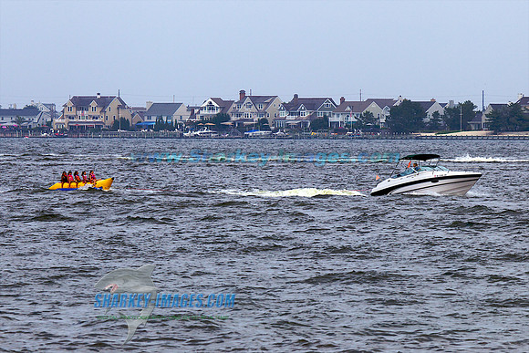 110704A 55 - Version 2