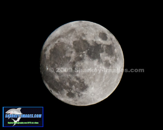 MOON  007 - Version 2.jpg