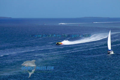 120223B 42 - Version 2