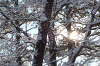 020409 017.jpg