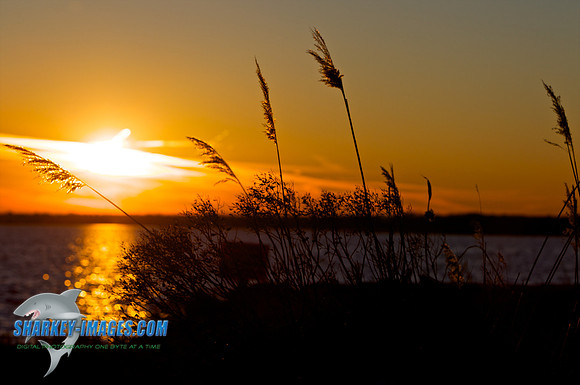 110203A  1471 - Version 2