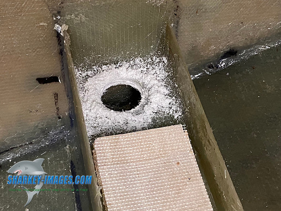 2D996731-2ADD-4E4A-8B60-355DB930299A